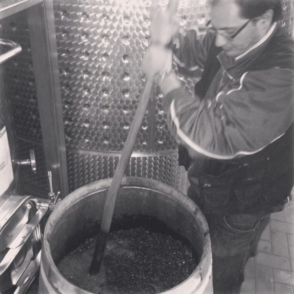 Roberto punching down