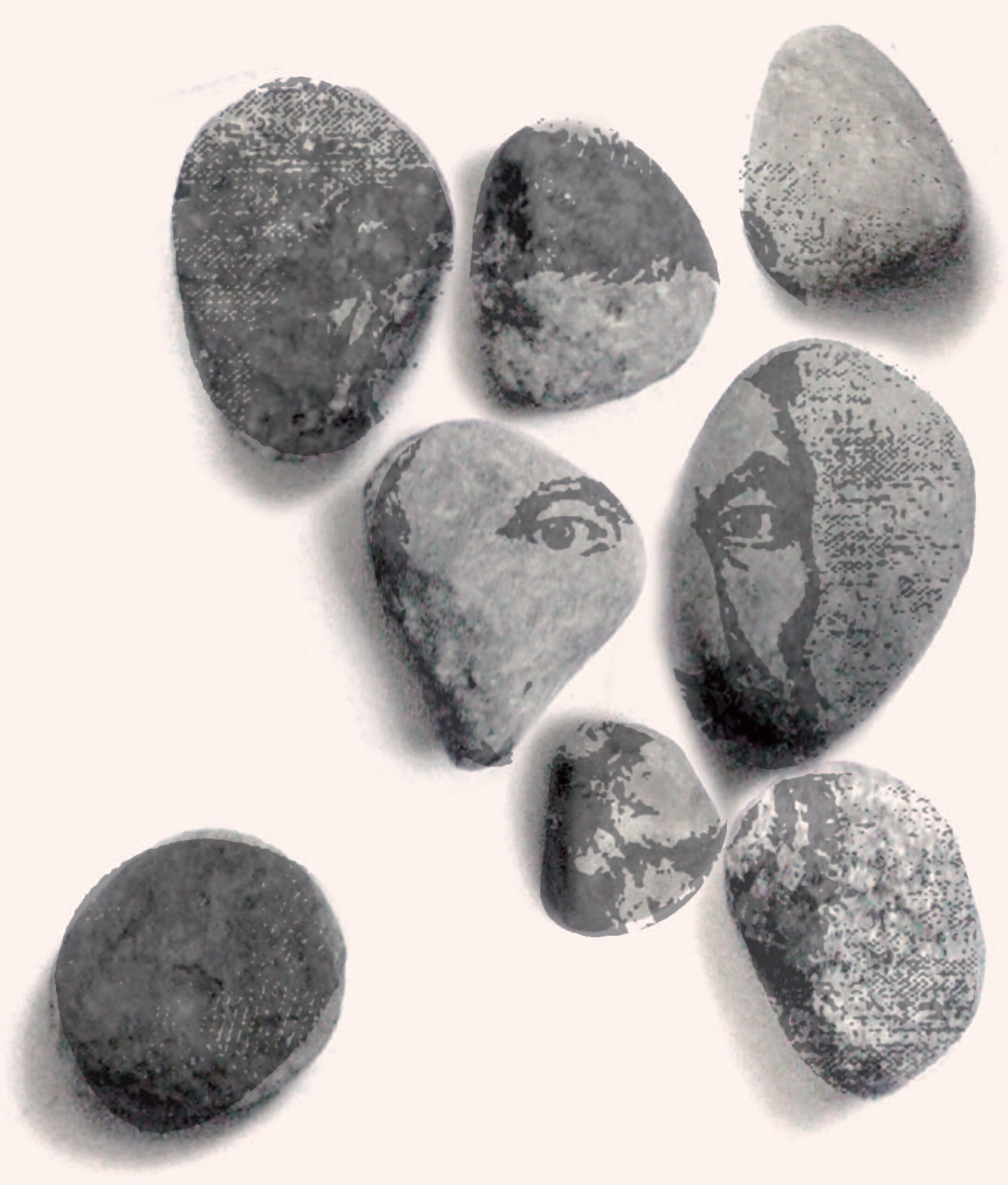 impag_NITTARDI 6.indd