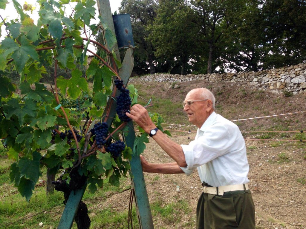 11143615_873993132668329_7737152919003390732_o