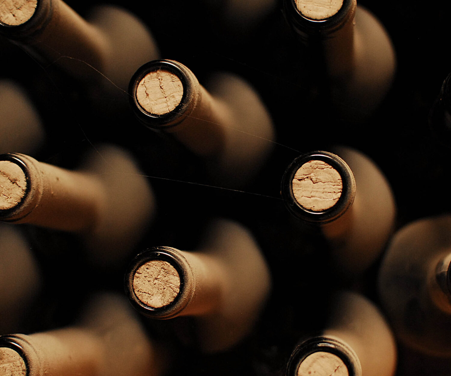 stacked up wine bottles in the cellar, dusty but tasty.
